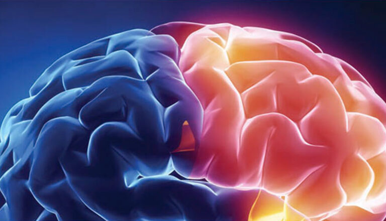 an artistic rendering of the folds of the human brain, colored blue and bright yellow and red