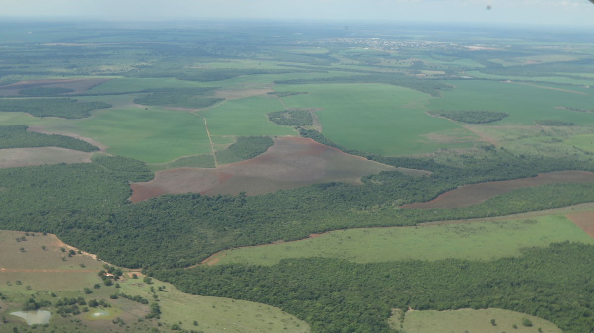 An aerial photo of trees and green space.