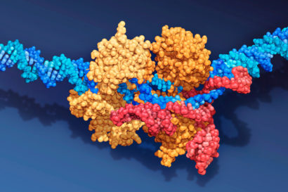 CRISP Molecule