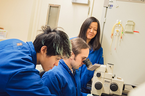 Lin He in lab with PhD candidate Sean Chen and postdoctoral scientist Andrew Modzelewski