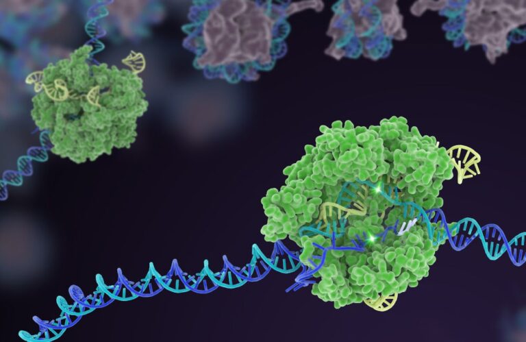 green blob representing CRISPR enzyme on a blue double helix of DNA