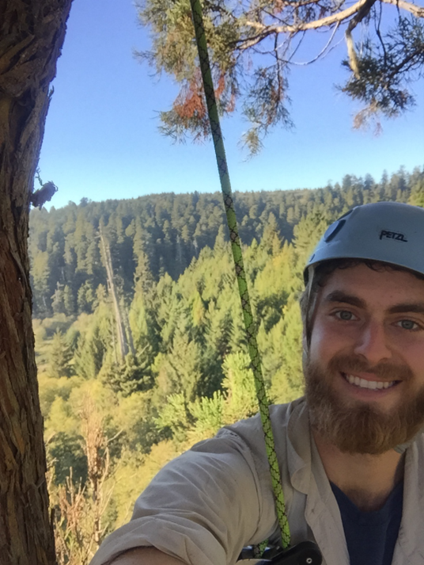 Brown selfie from high in the redwoods