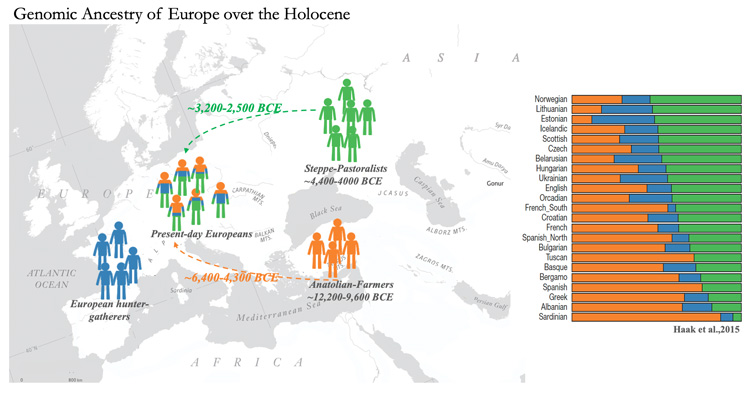 map of Europe showing people migrating into Europe