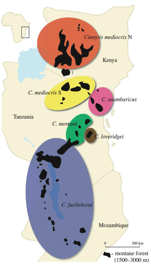 map of East Africa showing ranges of sunbird lineages