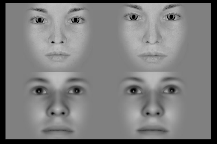 Our faces and brains