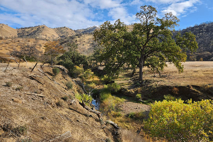 A photo shows a small creek that winds between dry, grassy hills.
