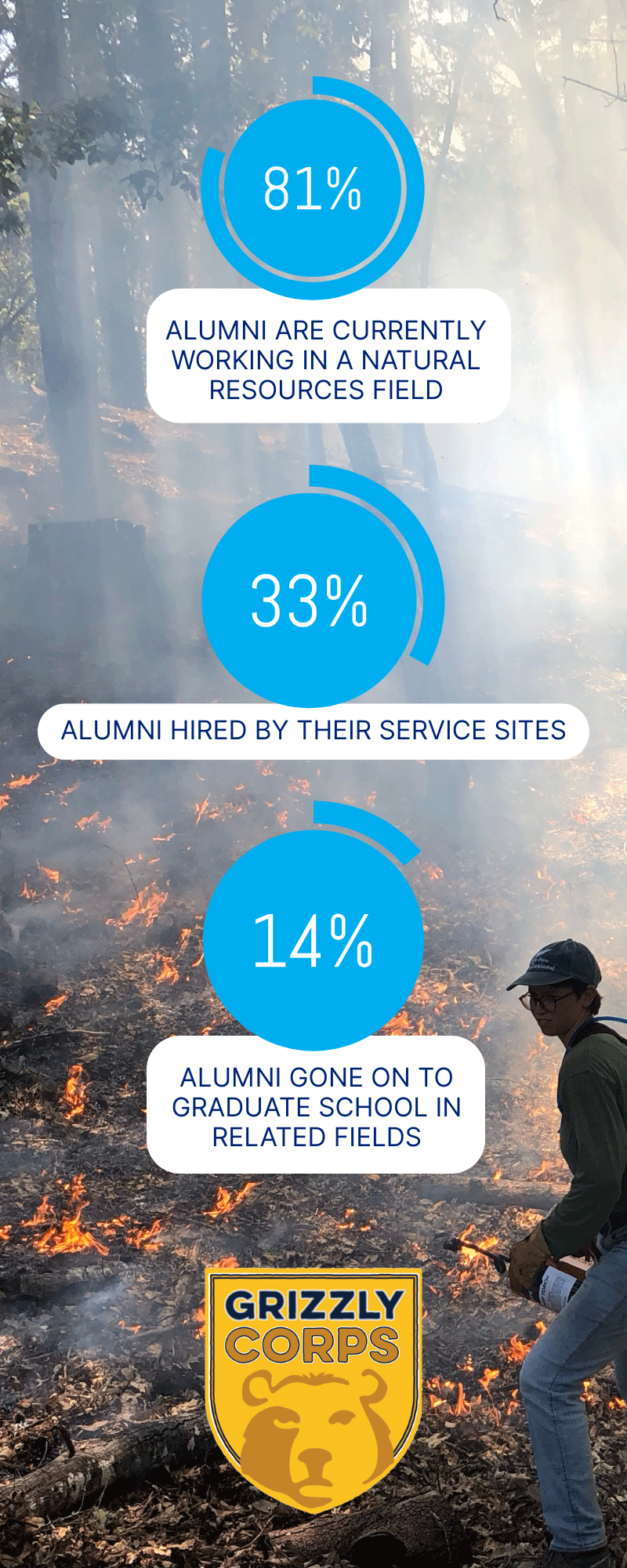 infographic on where alumni are working