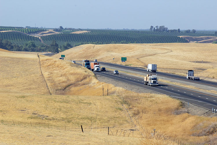 Large trucks drive on a highway that cuts through yellow fields. 