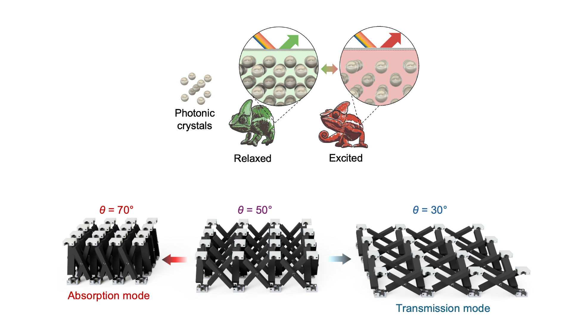 Image of the chameleon’s color-changing mechanism (above) and the bioinspired tunable metamaterial microwave absorber (below).