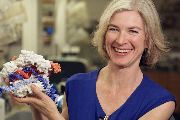 Jennifer Doudna smiles and holds a model of CRISPR-Cas9