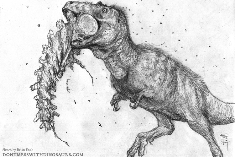 charcoal sketch of young T. rex comping on the tail of another animal