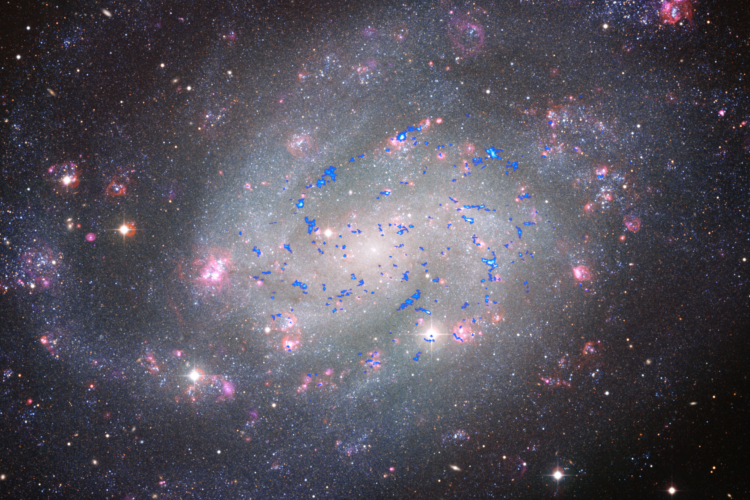 molecular clouds in galaxy NGC300