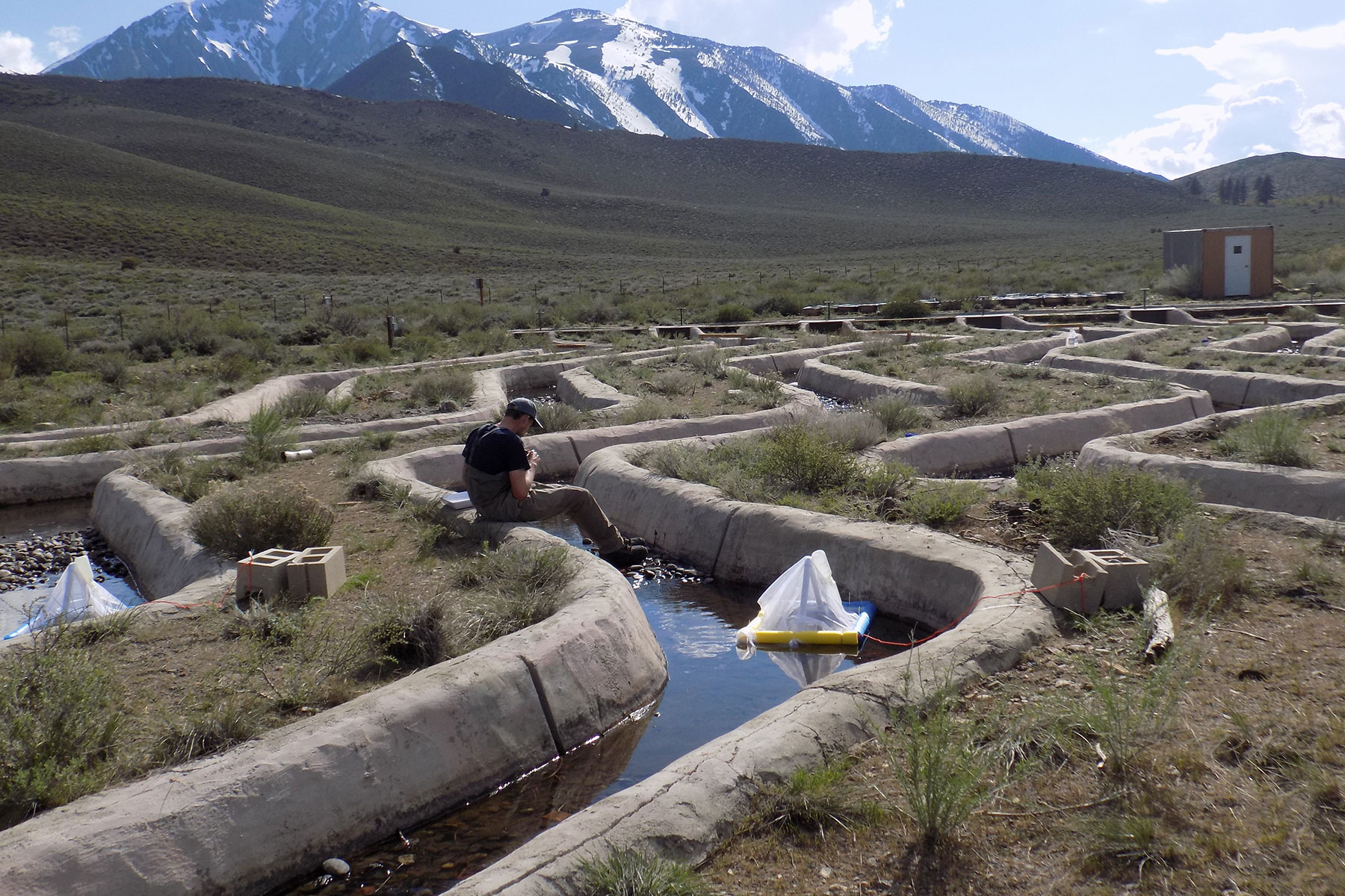 Water flows through a series of concrete channels that zig-zag across a dry, grassy mountainside. In the foreground, a person sits on the edge of one of the channels watching a white contraption that is floating in the water. Snowy mountain peaks rise in the background.