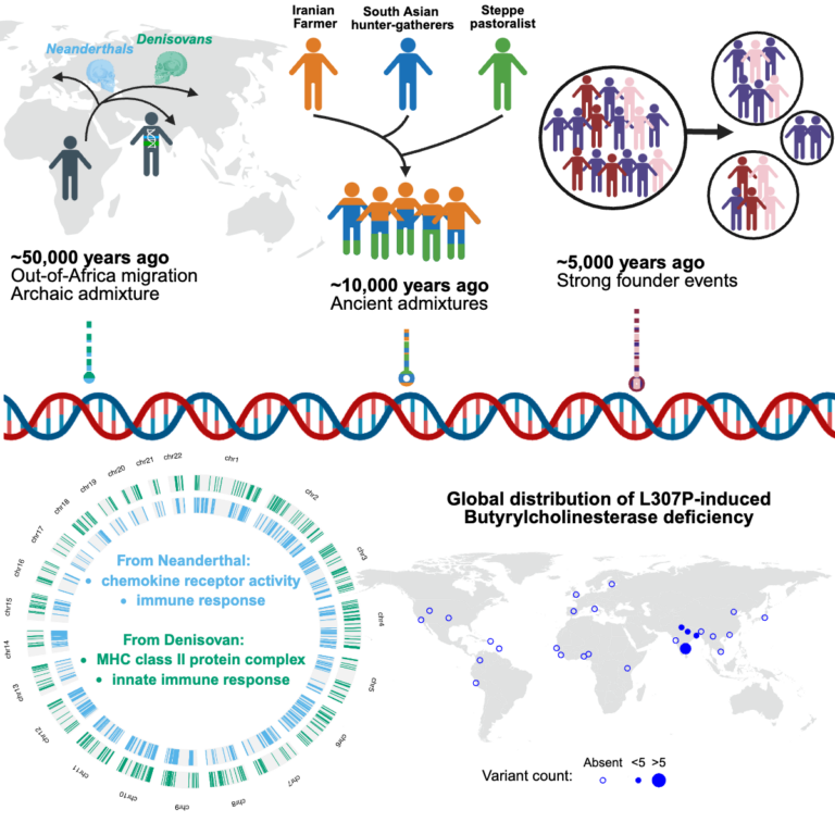 icons and arrows showing how humans moved from Africa through Eurasia to India