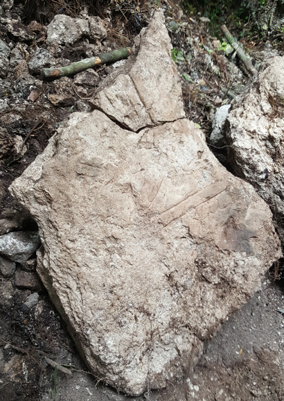A burned fragment of a stone stela — the lower half of Witzna Stela 4 — dating from the late Classic period. The monument, broken and burned (lower right), may date from the period between 650 and 750 A.D. (Photo courtesy of Francisco Estrada-Belli, Tulane)
