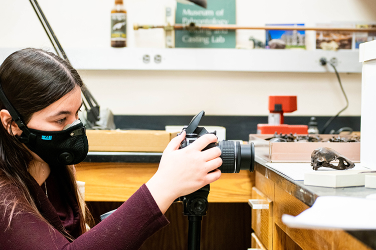 Ph.D. student Mackenzie Kirchner-Smith photographs a condor fossil from the La Brea Tar Pit collection in the Campanile