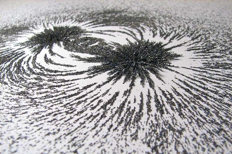 Iron filings gather in a magnetic field pattern