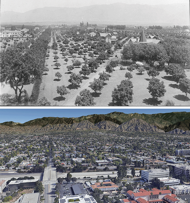 Two photos showing a similar view of Pasadena, oriented vertically. The upper photo is in black and white and shows orchards in the foreground and hills in the background. The lower photo, in color, shows the same hills, but the orchards have been replaced with urban development.