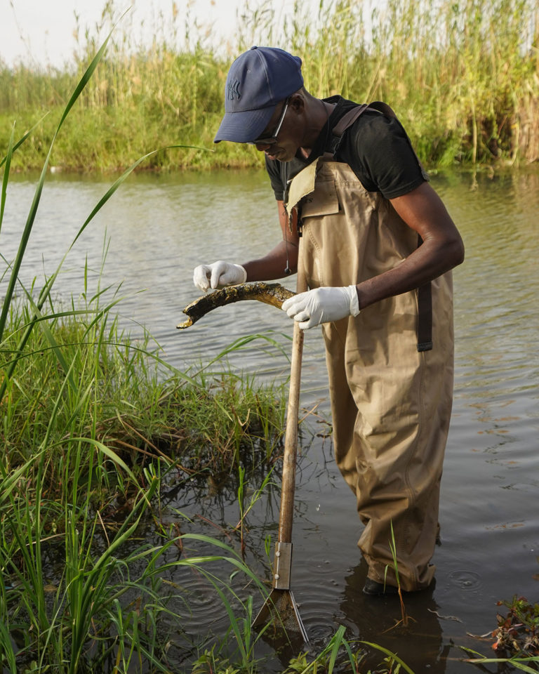 A man stands in waders in a stream, looking at a wooden scythe.