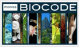 Moorea Biocode