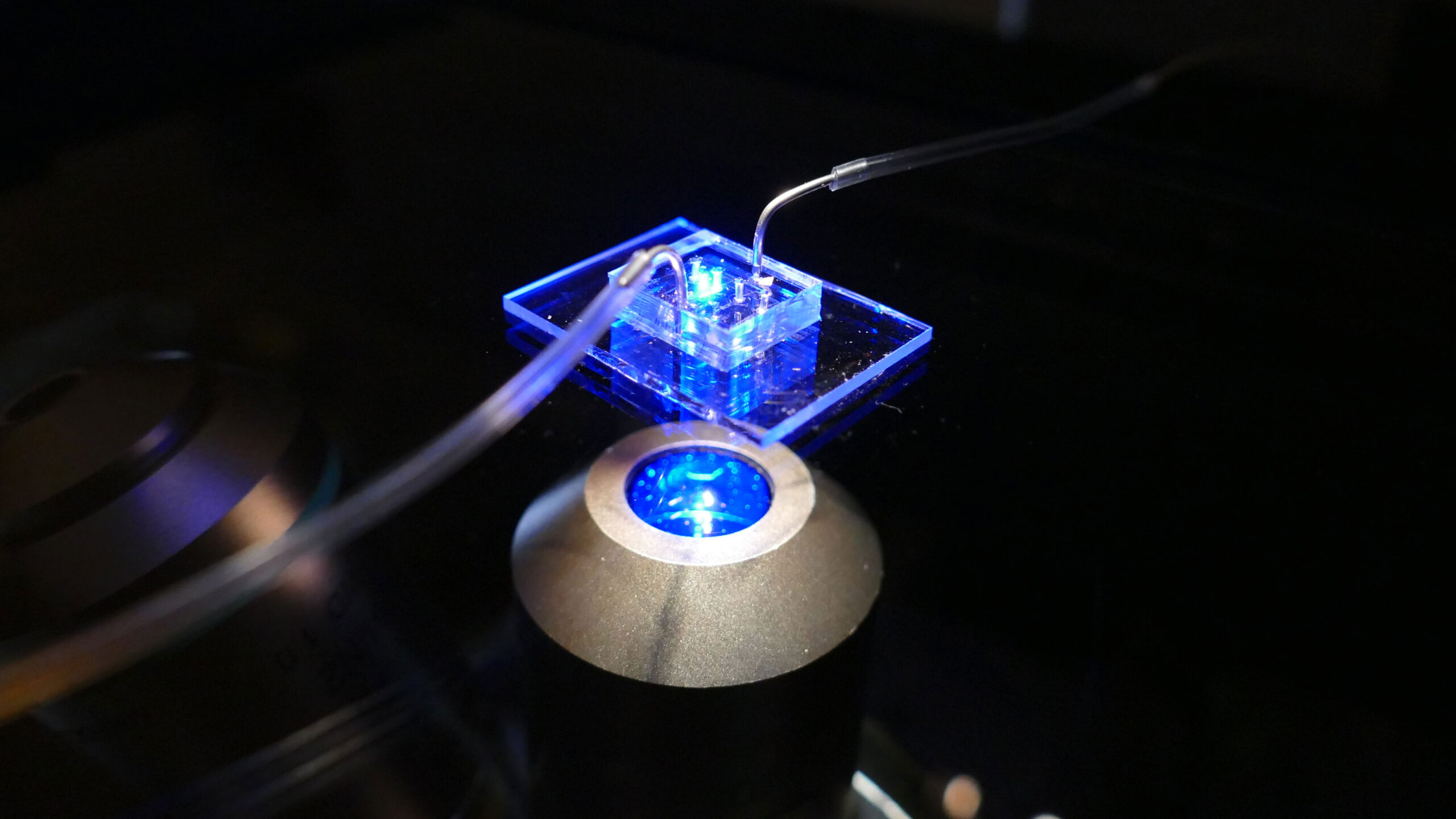 A microfluidics device mimicking the human heart under blue fluorescent lighting.