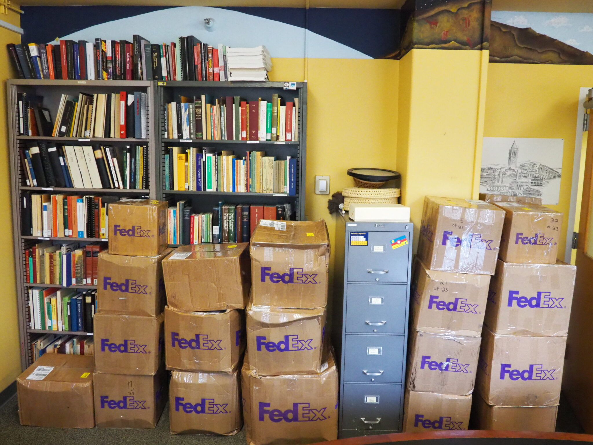 Stacks of FedEx boxes at the California Language Archive after they arrived at UC Berkeley.
