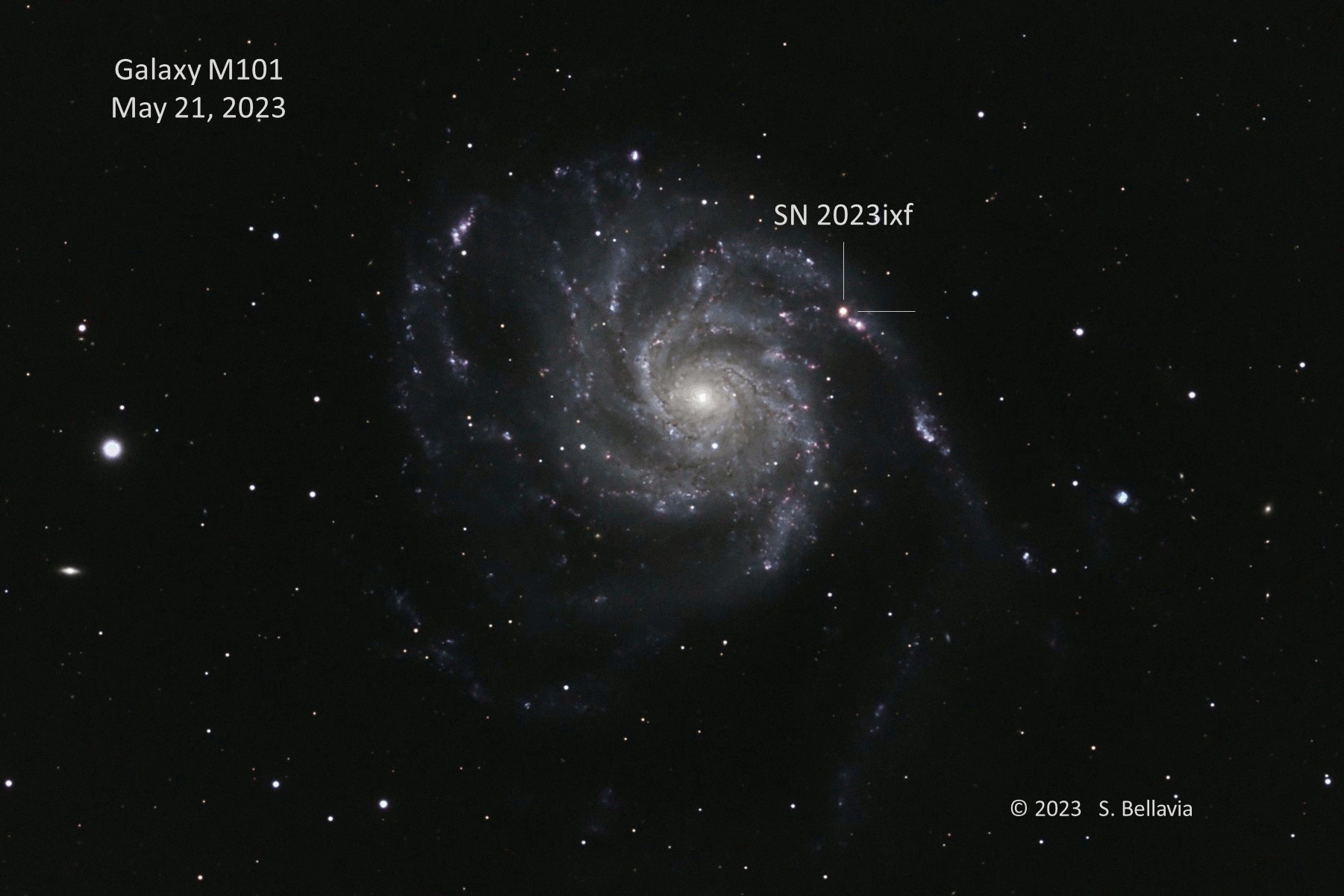A pinwheel shaped bluish-white spiral galaxy against a black background with white stars sprinkled around