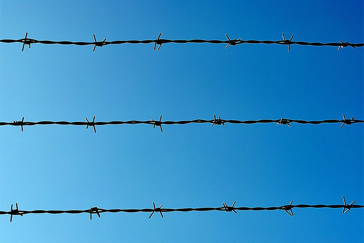 Three lines of barbed wire