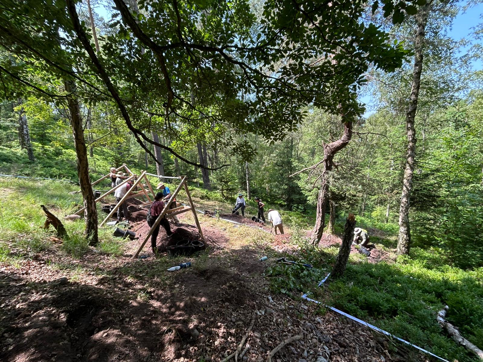 rugged terrain in a dense forest where teams worked to find possible remains from a WWII crash 