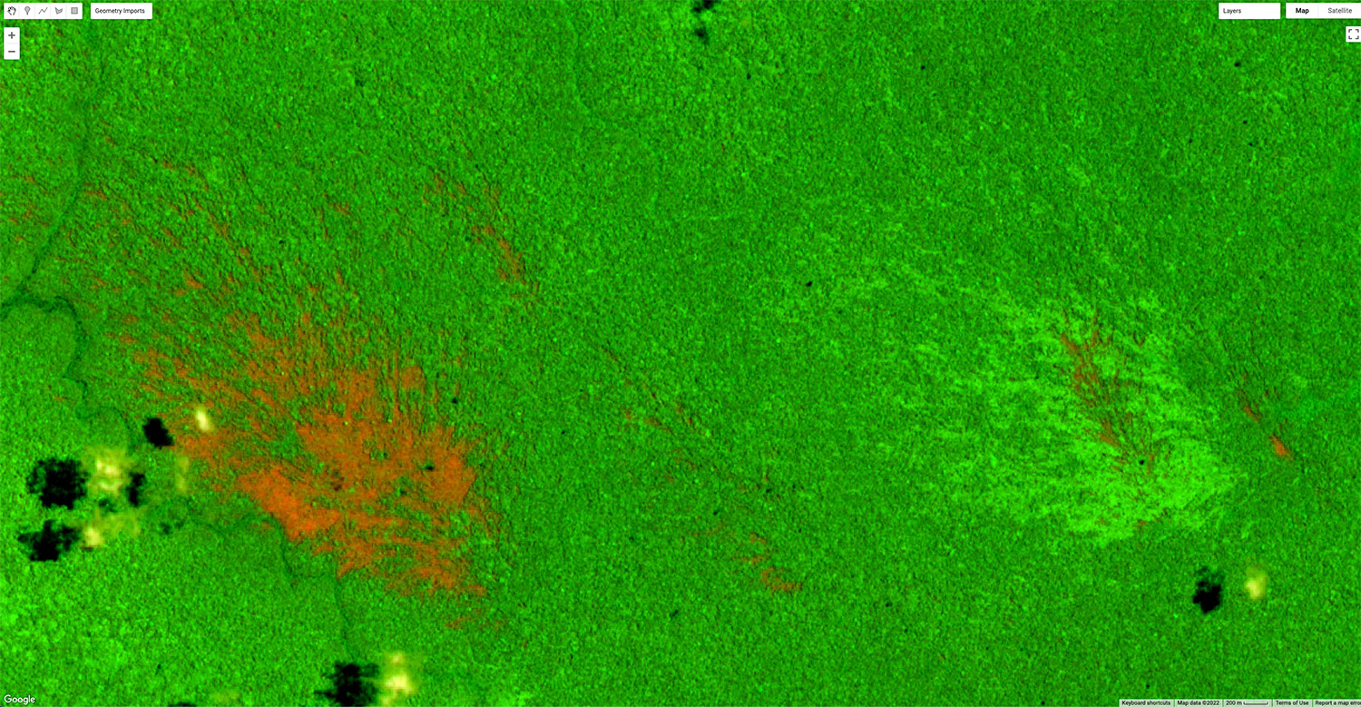 A green aerial image with reddish-brown spots on the left and bright green spots on the right that show examples of windthrow. The brownish-red region is a recent windthrow, while the bright green represents an older windthrow populated with new plant growth.