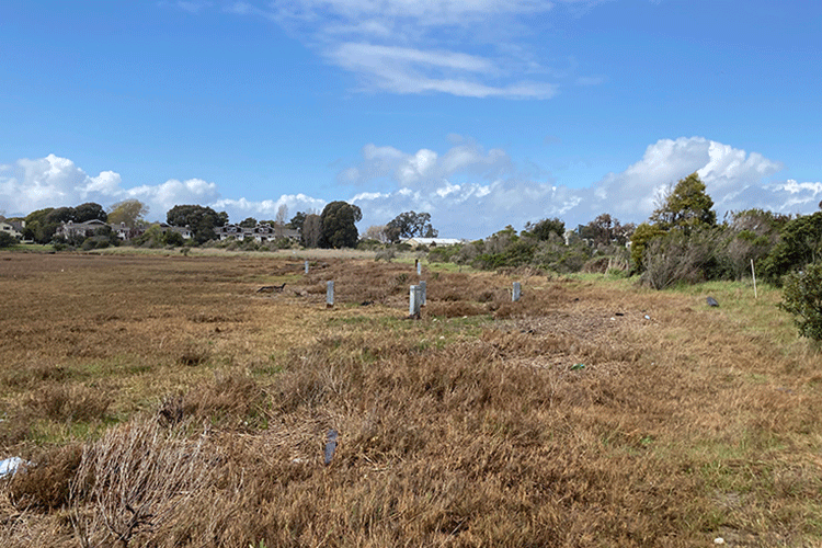 A photo shows an open marshland of brown grass, with houses in the distance.