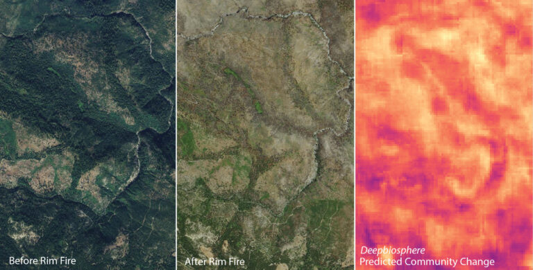 3 panels showing aerial views and colorful analysis of wildfire burn