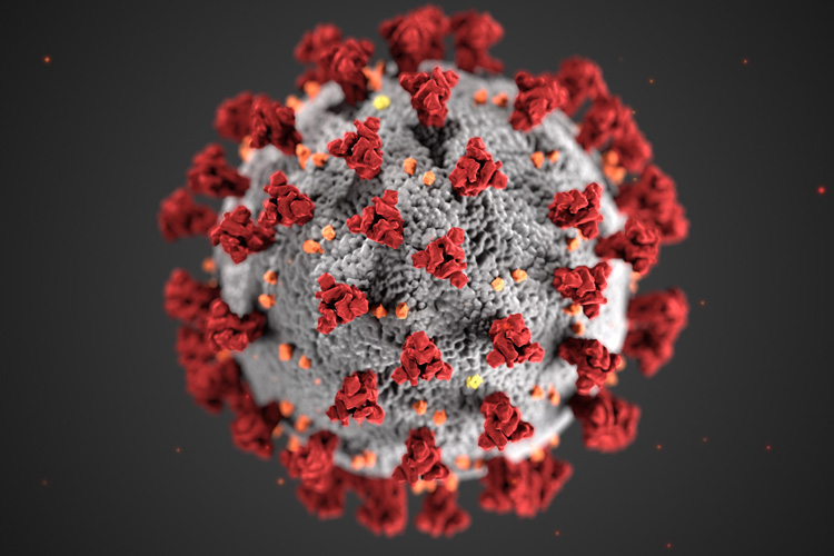 3D model of COVID-19 virus