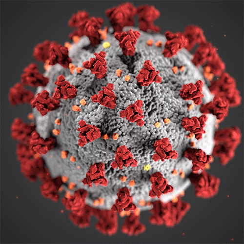 An illustration of the SARS-CoV-2 virus