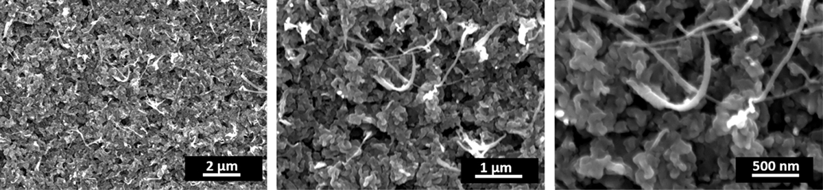 Scanning electron microscopy images of oxide-derived copper shown at different magnifications.