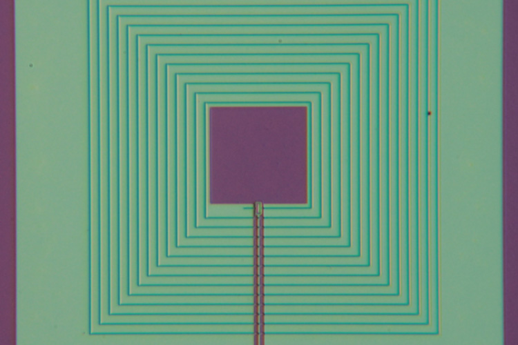 close up of SQUID-based amplifier, a purple square in the middle of a green one