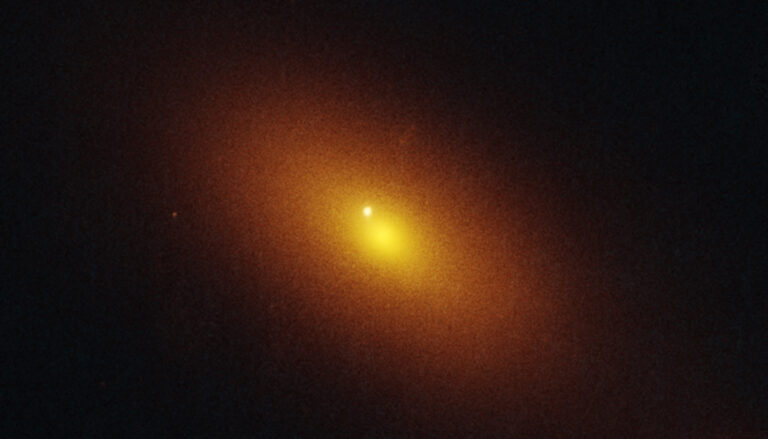 a dark orange oval with a small yellow oval inside against a black background