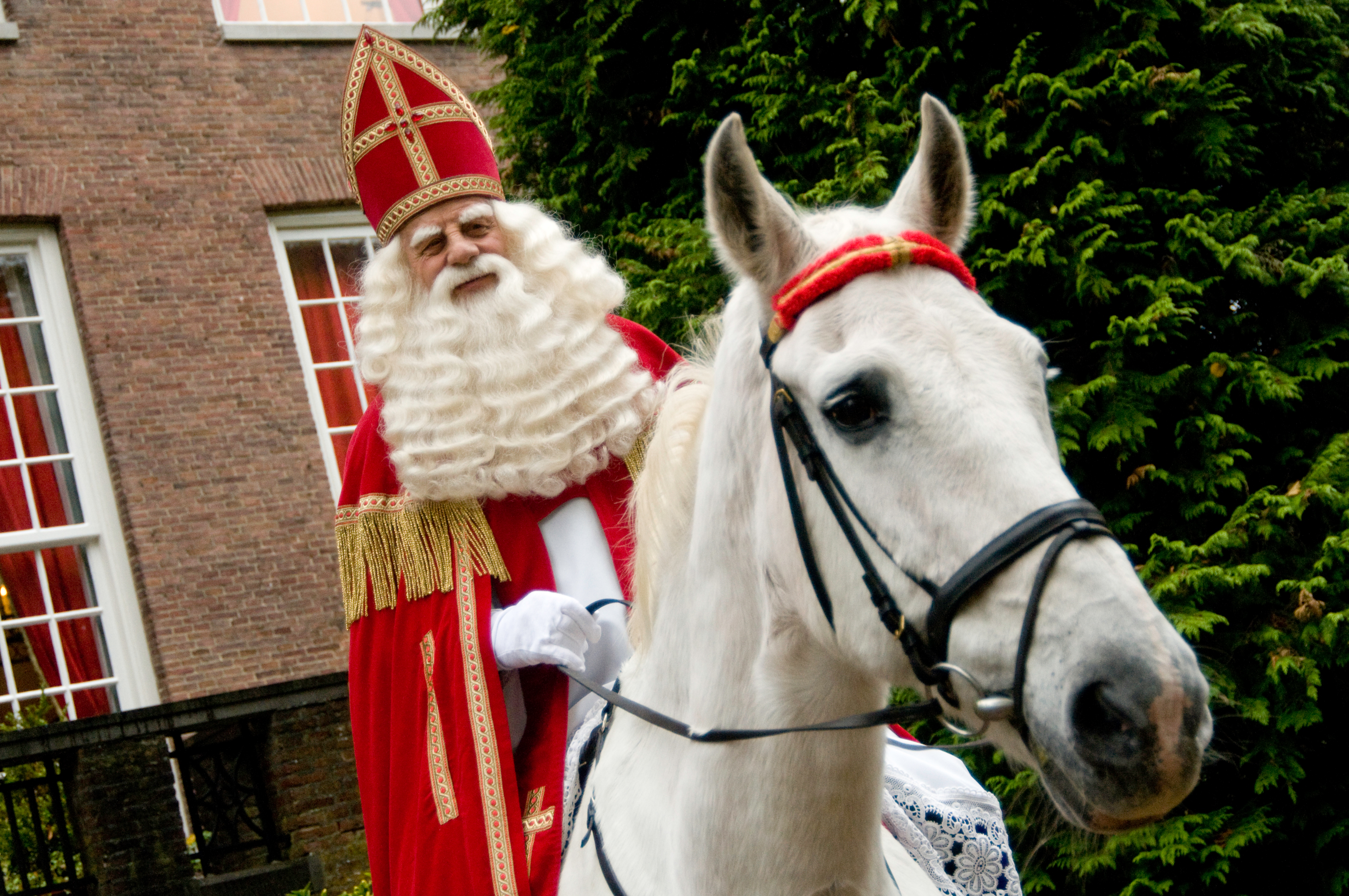 A man dressed up as Sinterklaas riding a white horse and waving to a crowd.