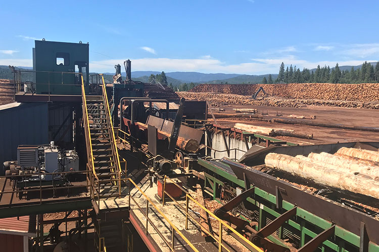 A photo of a sawmill in Northern California
