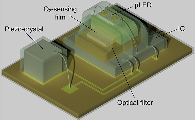 An up-close illustration of an oxygen-sensing implant, which contains an LED, an oxygen-sensing film, and optical detector, an integrated circuit, and a piezo-crystal.