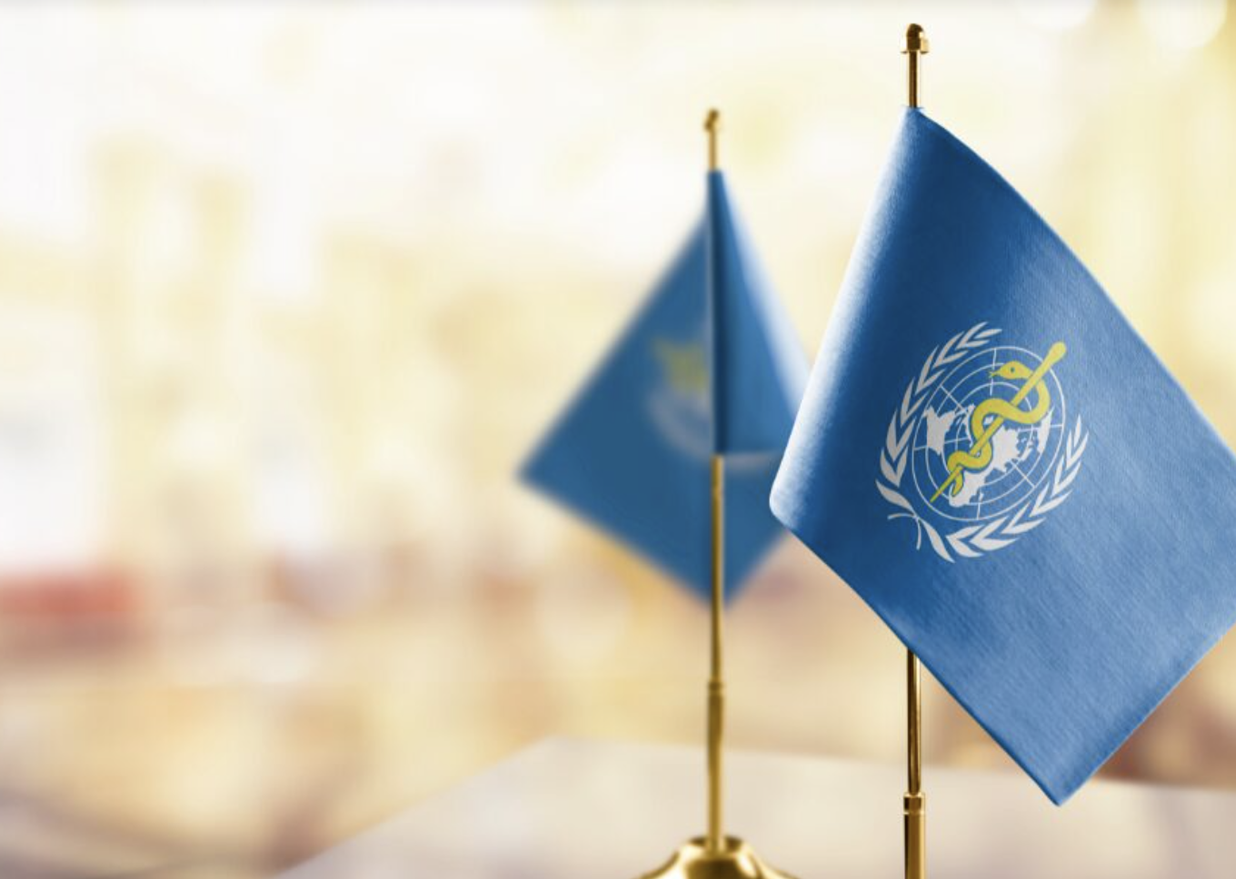 picture of two blue flags from WHO