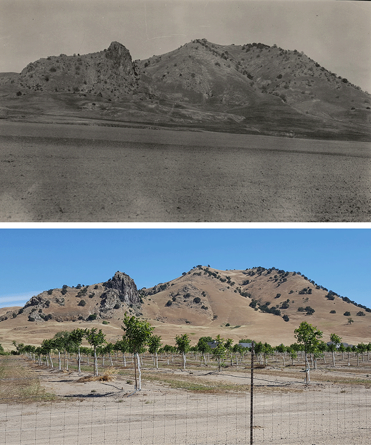 Two photos are situated vertically. The upper photo is a historical, black and white photo, showing grasslands and hills. The lower photo, in color, shows the same hills, but the grasslands have been replaced with orchards.