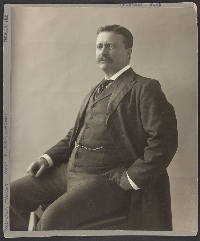 A portrait of former U.S. President Theodore Roosevelt