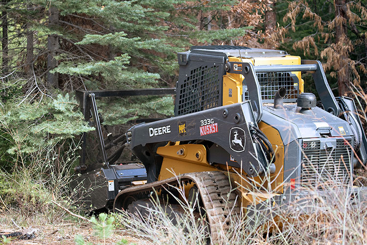 A machine approaches a large pine tree