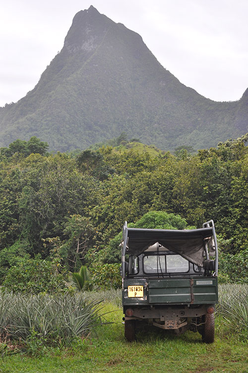 A photo of a truck in front of a mountain