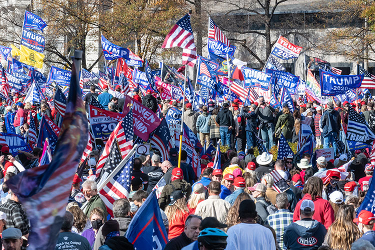 Trump supporters in a sea of flags and banners during a post-election rally in Washington, DC
