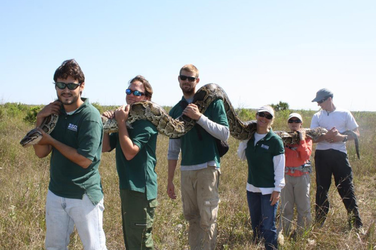 people holding a python