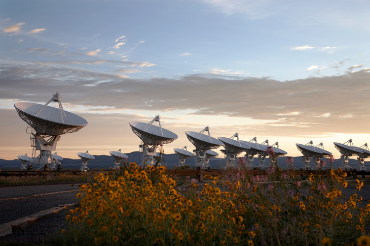 view of a half-dozen large radio telescopes pointed upward