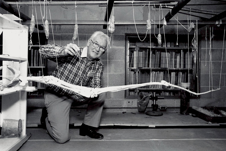 the late Wann Langston with a model of a Quetzalcoatlus wing