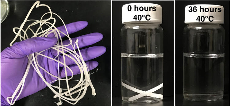 Plastic degradation example- A melt-extruded PCL (polycaprolactone) plastic filament (left) with embedded nanoclusters of the enzyme lipase enshrouded with RHP degraded nearly completely into small molecules within 36 hours in warm (104 F) water. 